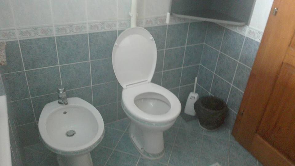 Domacinstvo Opavski Backi Petrovac Dış mekan fotoğraf
